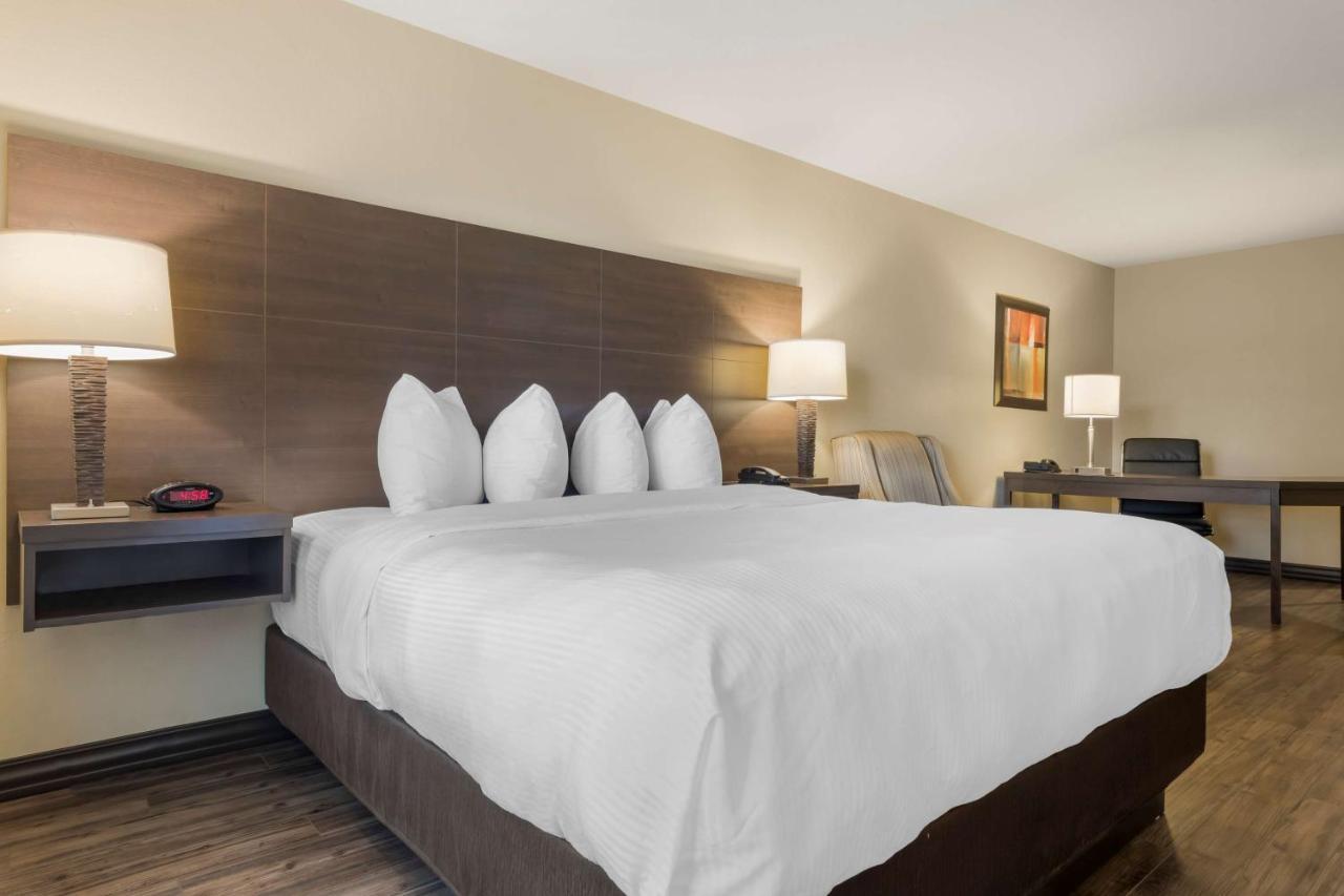 Best Western Plus Saint John Hotel & Suites Exterior foto
